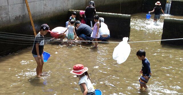 ゴールデンウィークのお客様 ぬいぐるみくじで特賞が出たら、スタッフ総出で『しばてん踊り』でお祝いします 当たったお客様には、ある意味ご迷惑かもしれないですが笑ぼくちゃんも最初は戸惑ってましたが、最終はご家族も一緒に喜んでくれてました🤍 しばてん踊りの練習