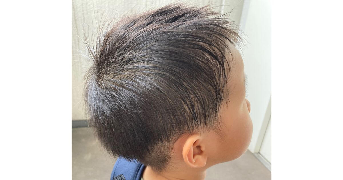 小学生男の子 バリカンのみ 息子のセルフヘアカットも8年目 - 理系ママの事件簿