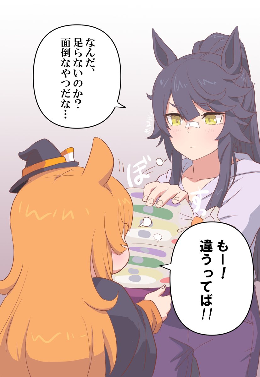 アニメ『ウマ娘 シンデレラグレイ』__シンボリルドルフ ブロマイド