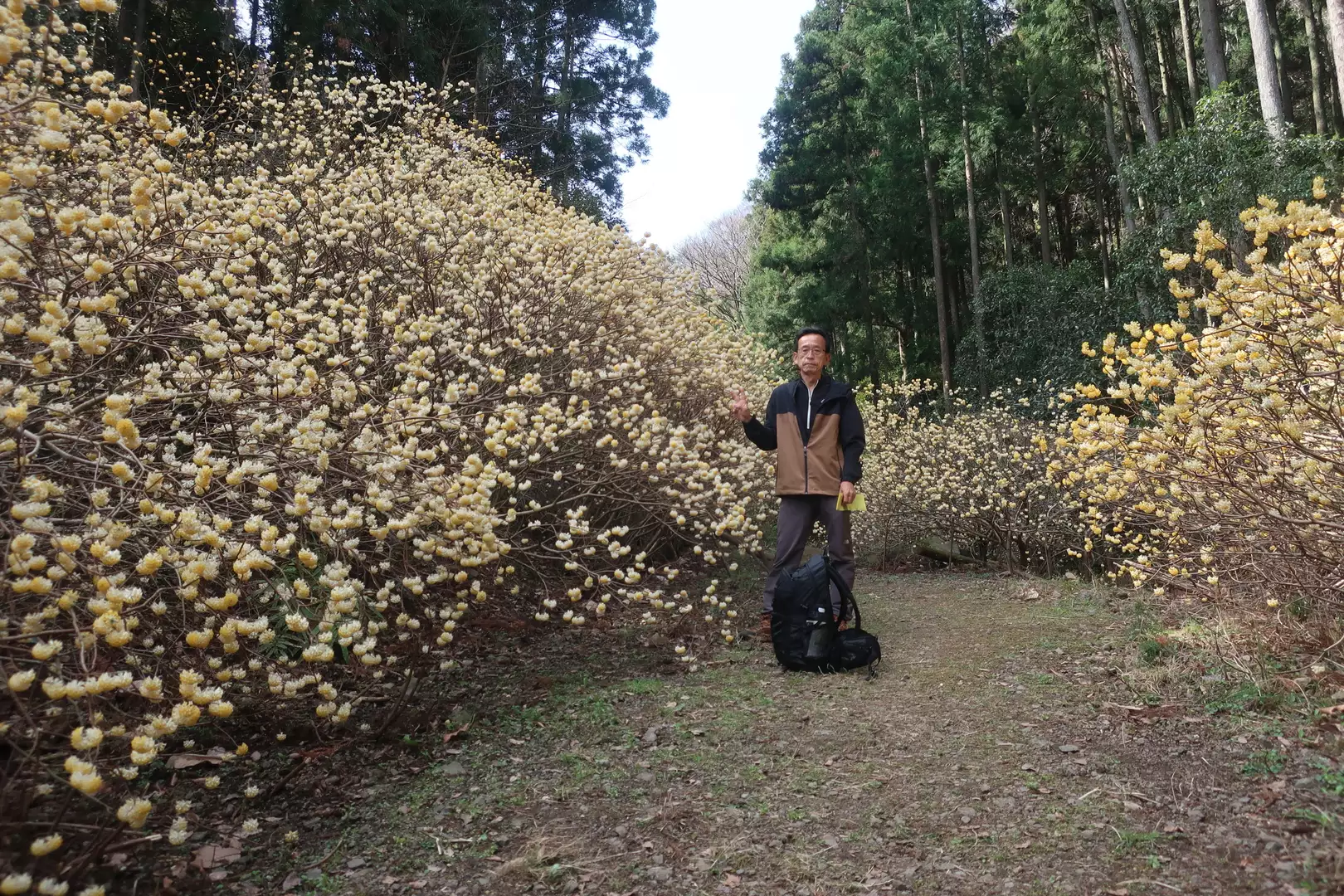 神奈川県 厚木市 ホテル くちなし城