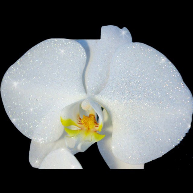 スナックママの誕生日プレゼントにおすすめのスタンド花