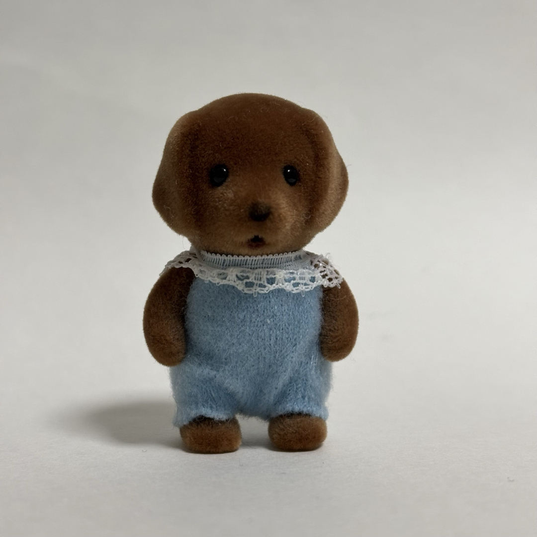 楽天市場 ラブラドール チョコレートの通販