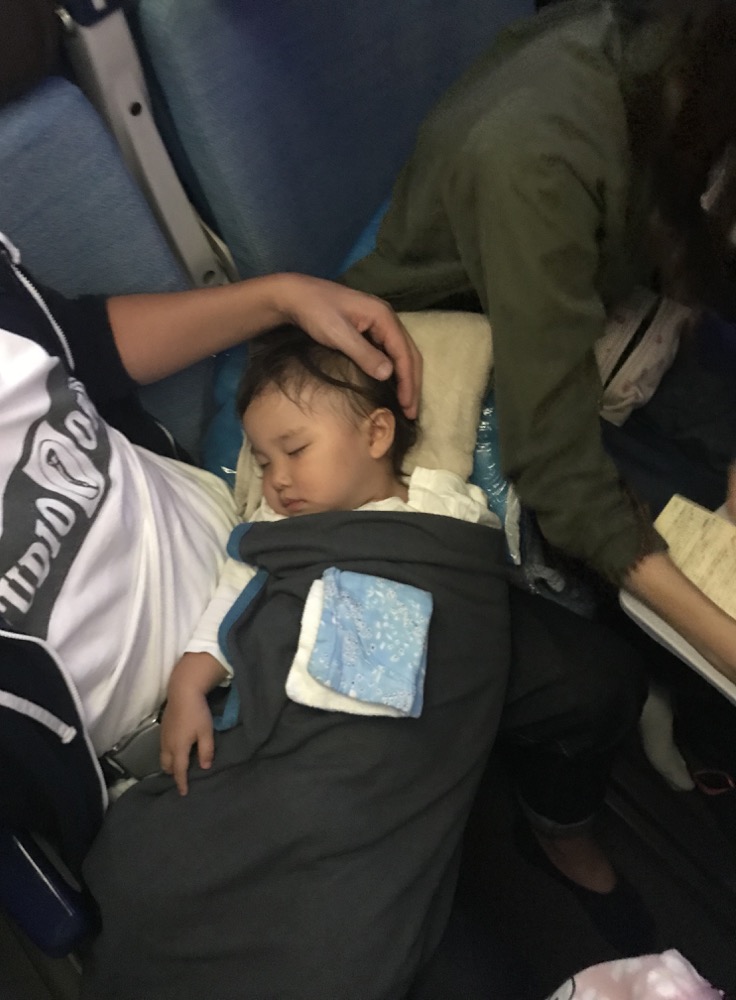 1歳7ヶ月 赤ちゃん連れ長距離フライト やって良かったことGood Time Germany