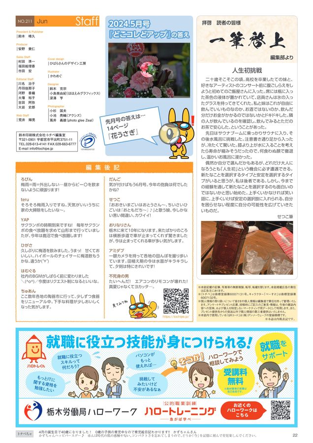 かずあそびカード☆汽車に乗せよう 知育玩具 療育 手作り 教材 数字 かず カード 発達障害 算数 おもちゃ・人形 ココエデュ☆知育 療育 小学校受験通販 7940568Creema クリーマ