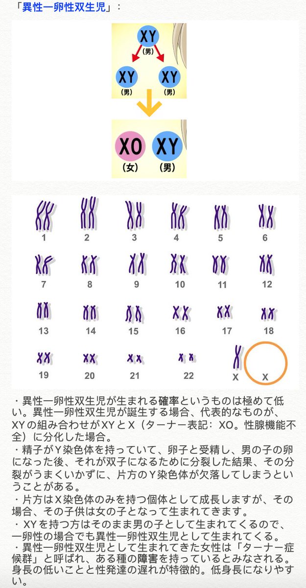 双子芸能人一覧女女、男男、男女、一卵性、二卵性。写真 画像 で比較してみる！讃岐うどんを食べつくす！香川県民つばきのブログ