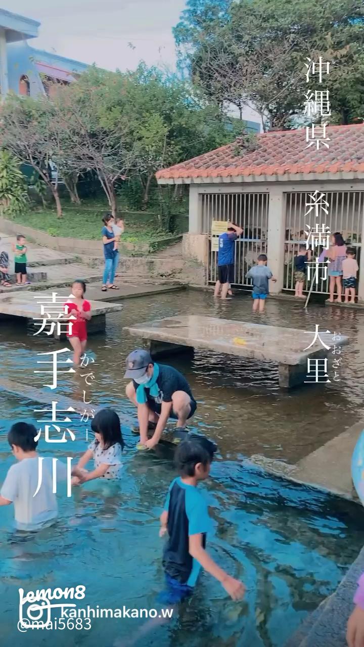 県民の森 川遊び沖縄県 那覇市 松島こども園社会福祉法人 雅福祉会