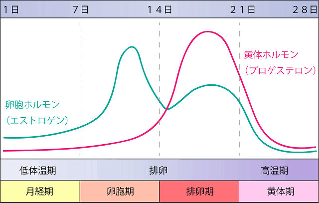 ブライダルエステは、生理中でも受けられる？ OKとNG事例を徹底解説｜ブライダルエステ・ビューティ コンテンツ