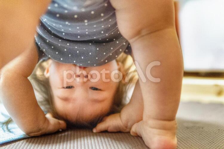 四つん這い 幼児 はいはいのイラスト素材 - PIXTA