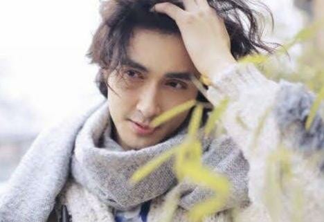 真相 張彬彬とディリラバの結婚した？噂やになった恋人は誰？オール3バズーカ！凡人でも人生楽しく生きる