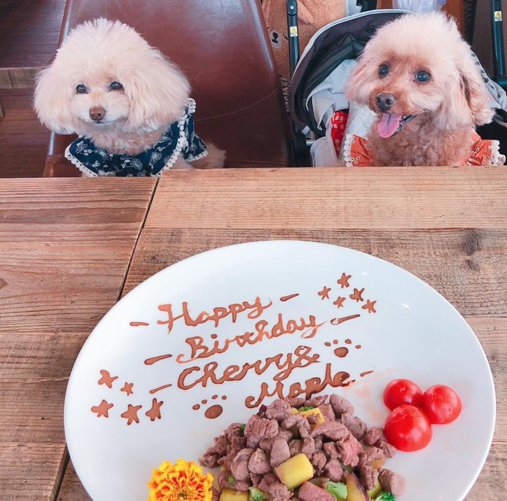 犬用お誕生日ケーキ♡バースデーフォトに♡ クレイケーキ ブルー おもちゃ・ペット小物 クレイケーキ アリエル 通販14284159Creema クリーマ