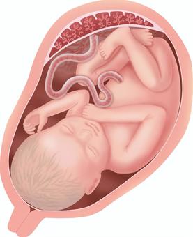 かわいい 3 D リアルな僧侶の赤ちゃんイラスト素材透過、PNGフリー画像ダウンロード - Pngtree