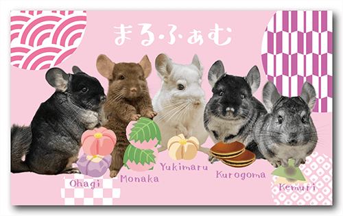 ペット名刺 多頭飼い用アニマルデザイン うちの子名刺100枚- doggy shopminne byGMOペパボ国内最大級のハンドメイド・手作り通販サイト