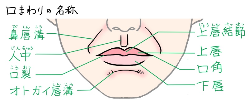 アニメキャラにおける唇およびメイク描写について調べてみた。日本アニメ視聴館 アニメ公式配信紹介