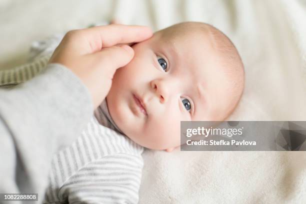 ほっぺにチューの写真・画像素材-Snapmart スナップマート