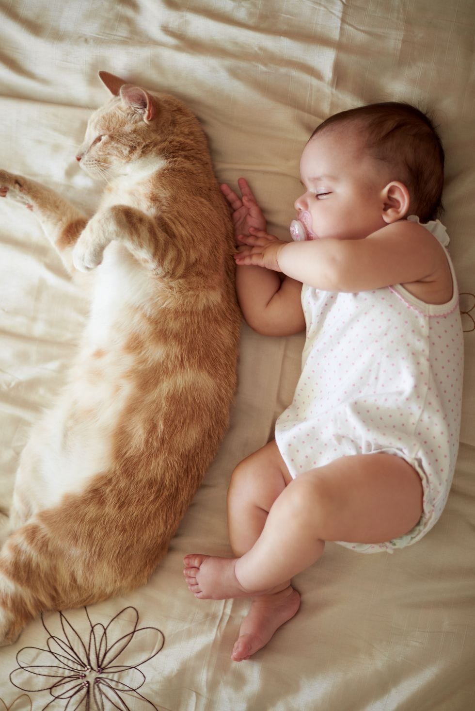 赤ちゃんの名前 はじめての女の子―画数・イメージ・音韻でつけるよい名前秋山 勉唯絵 本通販Amazon