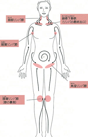 むくみにおすすめ【恵比寿で小顔リンパマッサージ】 | ブログ |