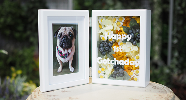 多趣味な30代女性 結構悩む友人への誕生日プレゼントに最適なフォトフレーム東京・表参道・青山プリザーブドフラワーアレンジメント教室「花学校」初心者でも1回でおしゃれに手作りする！お花レッスン