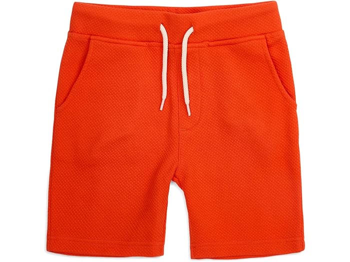 美品NORICCO ノリッコ子どもが乗れるキャリーケース ブルー 公式 NORICCO こどもが乗れる キッズキャリーケース のりっこ