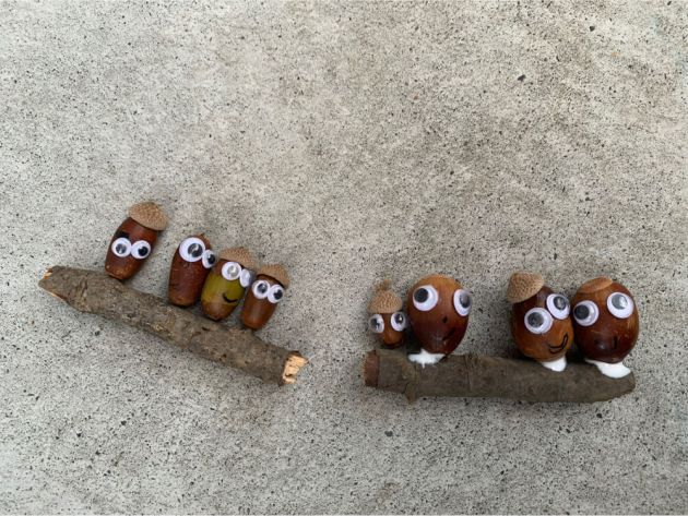 折り紙「どんぐり」先生のためのページ教育・保育をサポートするオンラインショップ エデュース