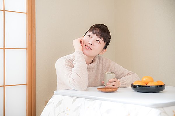 ＷＥＢ限定 着れるこたつ 対面2人用通販 ニッセン