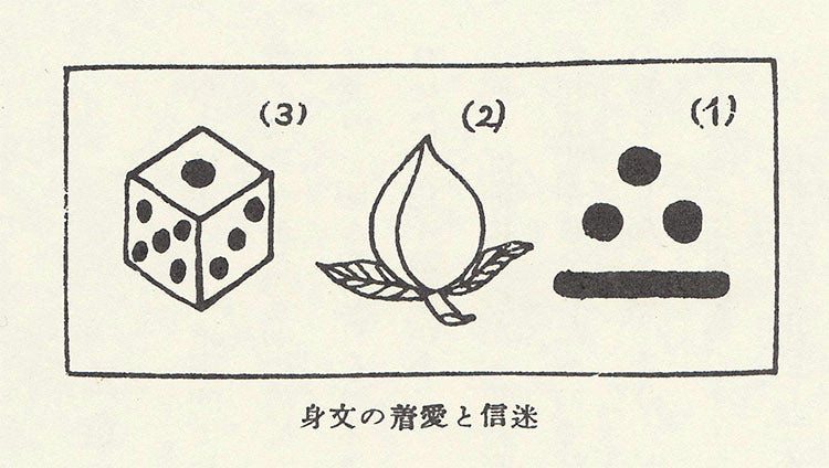 例文・使い方一覧でみる「艶麗な」の意味