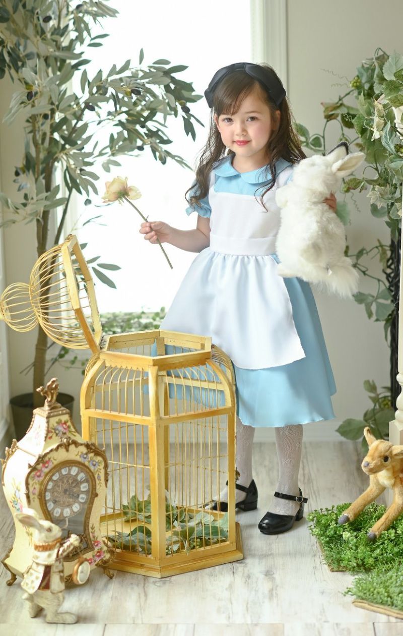 送料無料, ハロウィン 女の子 アリスのエプロンドレスコスチューム TAK