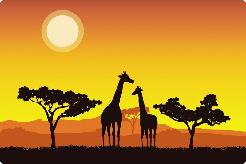 松原智恵子人物NHKアーカイブス