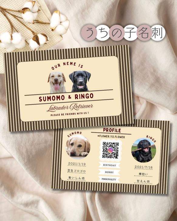 ペット名刺の制作実例犬 多頭飼い3頭 の型抜きペット名刺w_cut0038