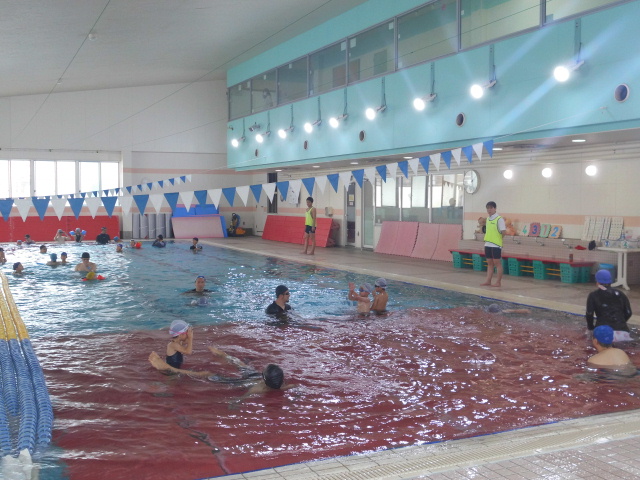 ユアタイム』市川紗椰と野島卓アナの半同棲に心配の声！ 野島アナは八木亜希子と二股発覚で破談の過去も 」をちょい読みLITERA リテラ SP本と雑誌の知を再発見