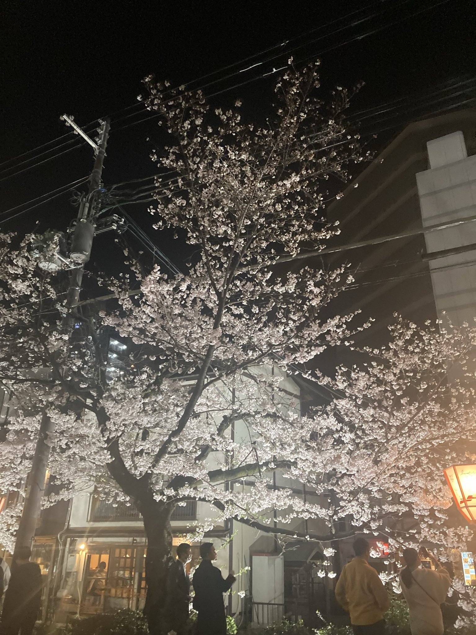 京都出張メンズエステChou Chou - 河原町・木屋町/デリヘル｜駅ちか！人気ランキング