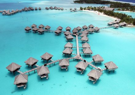 焼き鳥を日本のワインで楽しむなら 「Bora Bora（ボラボラ）」☆湯島 | 楽しいことは