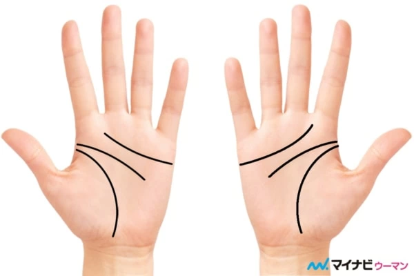 家族を大切にする人の手相」 親指の付け根の関節に ある鎖状の線はファミリーリングと言います。 この線のある人は家族思いで家族間の結びつきをとても大切にします。 子煩悩でもあって 親になることで より充実した人生を送れるようになります