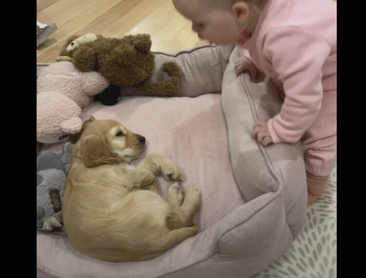 びっくりした赤ちゃんのイラスト素材104371036- PIXTA