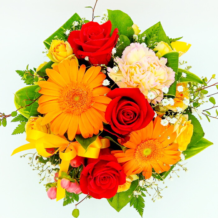 バラの本数と意味・花言葉プロポーズのフラワーギフト“メリアルーム”