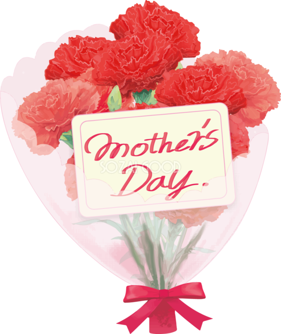 母の日ギフトの写真素材写真素材なら「写真AC」無料 フリー ダウンロードOK