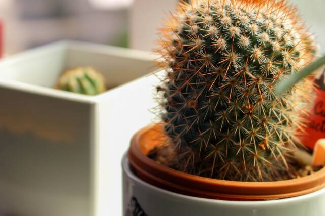 学力アップも夢じゃない！キッズルームと勉強机の風水術 - ソファー、モダン家具のインテリアショップクラスティーナインターファニチャ