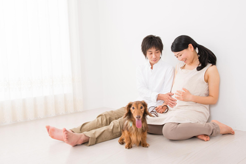 マタニティフォトをペットと一緒に撮りたい！ 2023年9月更新- YUNAGI FILMS