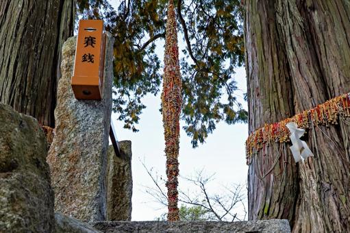 夫婦和合読本 : daily-sumus2