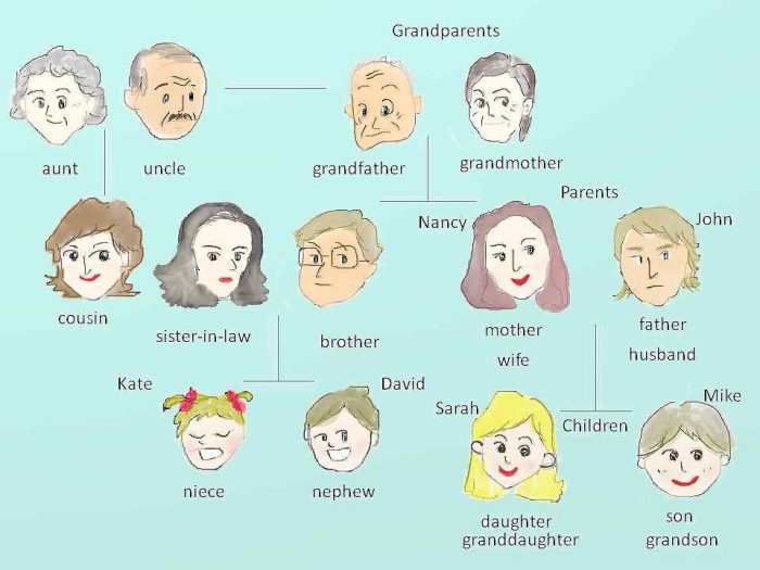家族・親族関係に関する英語表現のまとめ 家系図