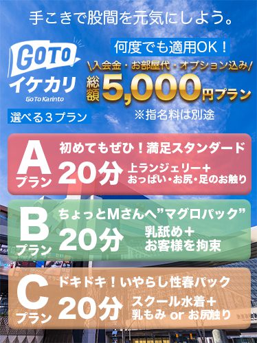 ランチパック】平日16時まで！Ａパック：２回転コース ⇒並盛15分：4,000円｜池袋駅西口｜出張型・デリバリー｜手コキ・オナクラ ｜かりんと池袋西口 