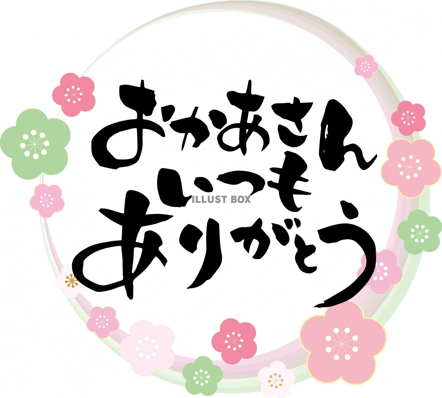 お母さんいつもありがとう💐生んでくれてありがとう母の日ハジーあなたTikTok