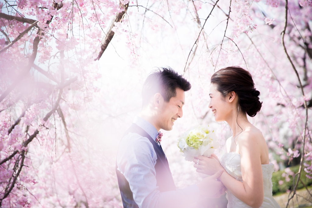 桜のシーズンに！打掛 白地 さくら 婚礼 花嫁 美品 撮影 桜でフォトウェディング