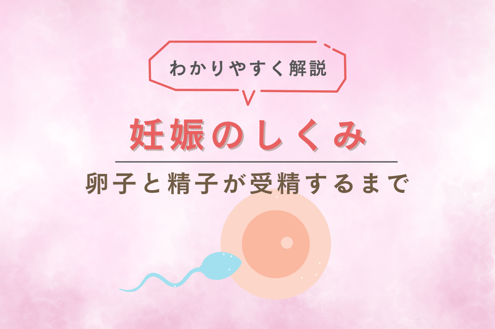 精液濃度の改善に重要な10の食べ物と5つの悪影響な食事 | ナイトプロテインPLUS