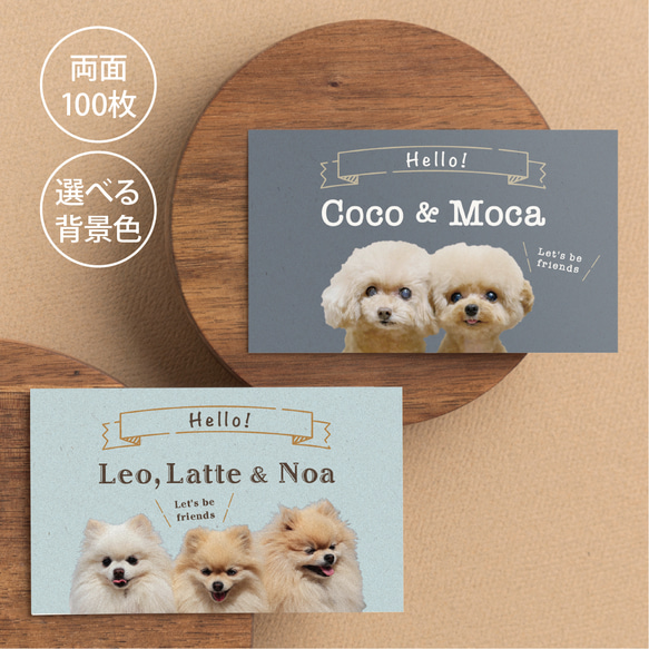 ペット名刺 校正無料 写真切抜無料 レビュー最多 豊富な実績 大好きなペットの写真を入れることができます 多頭対応OKうちの子名刺 送料無料 :紙ってるYahoo!店 - 通販 - Yahoo!ショッピング