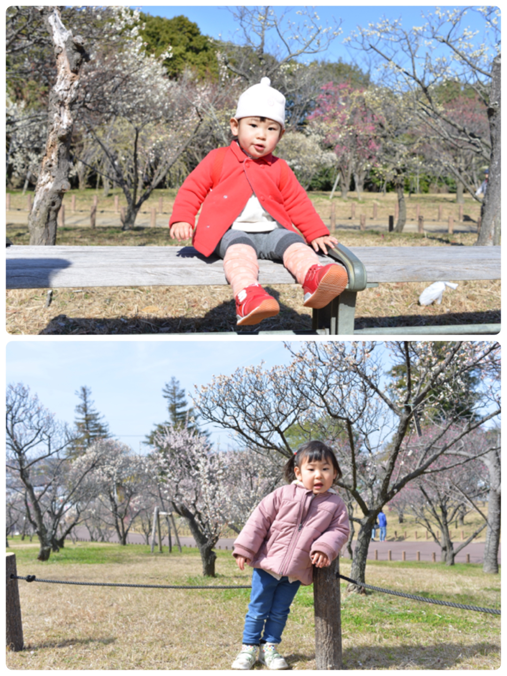 子供の成長の作品 「瑞瑞和琪琪の成長日記 Vol.1」フォトブック・フォト 写真 アルバム作成ならPhotoback