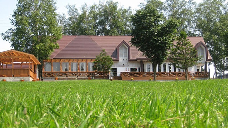 札幌ジンギスカン 壱 札幌すすきの ジンギスカン- 楽天ぐるなび