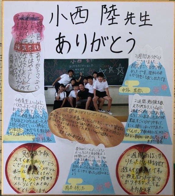 寄せ書き色紙 色紙 寄せ書き カード 大人数 メッセージカード 卒業 お別れ 退職 転勤 送別会 手紙 メッセージ ギフト プレゼント 誕生日 お祝いサプライズ イベ : ココチのくらし雑貨店 - 通販 - Yahoo!ショッピング