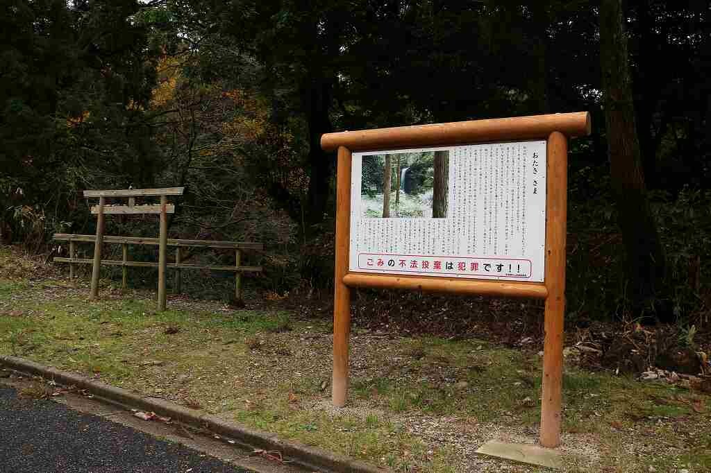 新潟県村上市 桃川のおたきさま またまた行ってしまいました‼︎ 今の時期は水量豊富です‼︎ 植物達は雨降りで喜んでるかの如く、緑に輝きます。