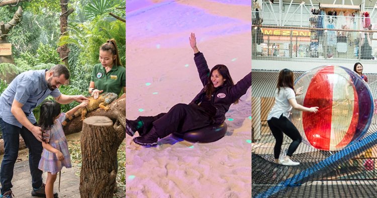 若手人気女優サラ・ハイランド、腎臓移植を受けていた