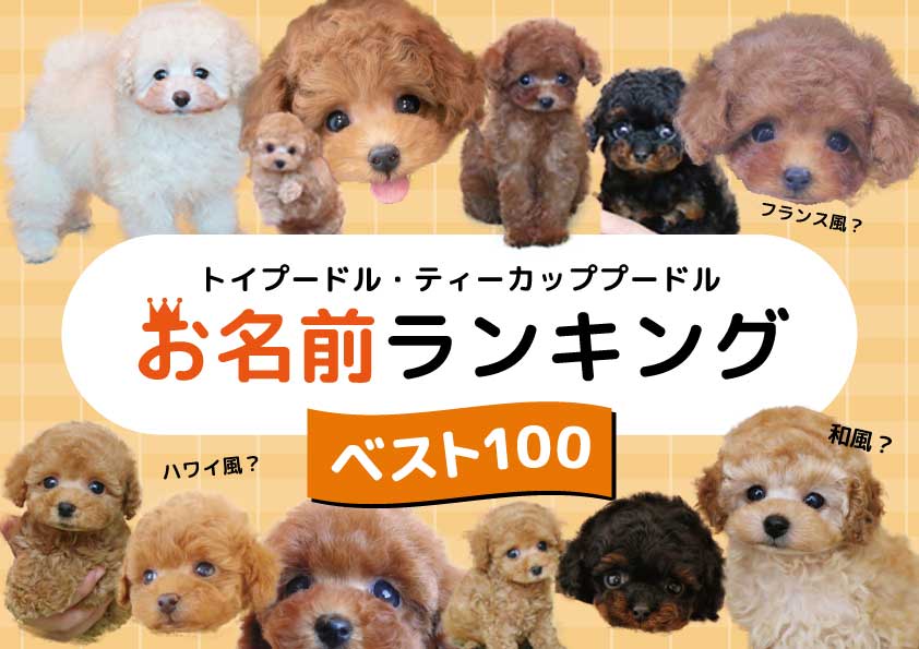 英語の女性名前100選かわいい・かっこいい・意味が素敵な名前一覧英単語アプリTANZAM